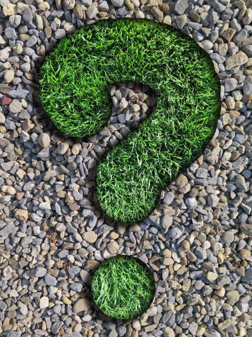 Das Bild zeigt ein großes Fragezeichen aus frischem grünen Gras, von schwarzem Metall umrandet und auf einem leicht rosa-grauen Kieselbett liegend.