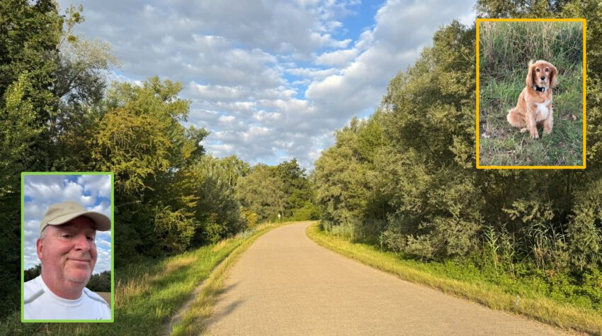 Menschenleerer Weg am Rheinufer bei Sonnenschein trotz bewölktem Himmel. Das Bild von Clark Ahten und das des Hundes, dem er begegnet ist